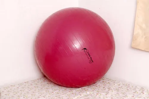 Physio Exercise Ball
